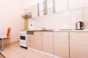 Küche/Küchenzeile in der Unterkunft Apartman Anamarija