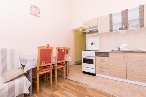 Küche/Küchenzeile in der Unterkunft Apartman Anamarija