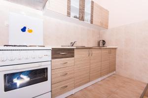 Küche/Küchenzeile in der Unterkunft Apartman Anamarija