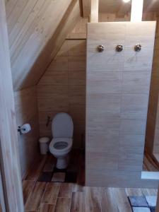 a small bathroom with a toilet in the attic at Chalúpka v Ždiari in Ždiar +39 photos