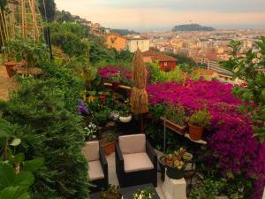 Zahrada ubytování Le Panoramic Boutique Hôtel