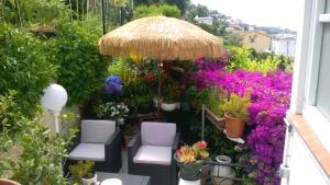 Zahrada ubytování Le Panoramic Boutique Hôtel