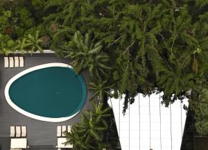 una vista aérea de una piscina y árboles en Tivoli Mofarrej São Paulo, en São Paulo
