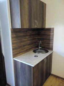 a bathroom with a sink and a wooden wall at Guest House Chirina in Sighnaghi