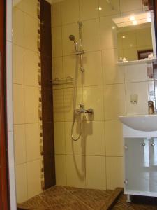 a bathroom with a shower and a sink at Apartments Georgos in Sofia