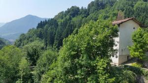 Příroda nedaleko bed and breakfast