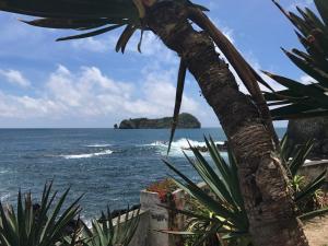 a palm tree on the beach with the ocean at A Villa by the Sea Bed & Breakfast in Vila Franca do Campo