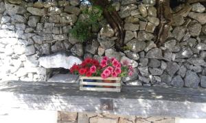 Fotografie z fotogalerie ubytování B&b Cinque Stalle v destinaci Monopoli