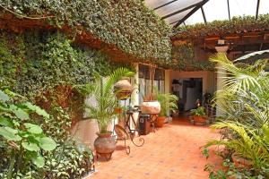 Zahrada ubytování Hotel San Luis