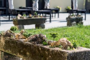 Zahrada ubytování Hotel Na Farmě Choťovice