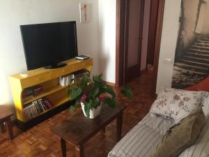 Televízia a/alebo spoločenská miestnosť v ubytovaní MONKEY Apartment