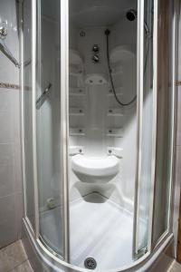 a bathroom with a shower and a toilet at Casa Rural El Fronton in Vadillo