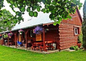 eine Blockhütte mit Picknicktischen davor in der Unterkunft Kasienka Cottage in Stronie Śląskie