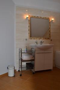 a bathroom with a sink and a mirror at Dom u Ewy Bory Tucholskie in Śliwice