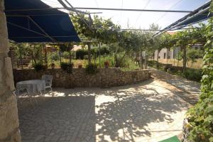 Zahrada ubytování Apartments Cvelic Milovcic