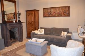 a living room with a couch and a fireplace at Studio Moncoeur in Le Blanc
