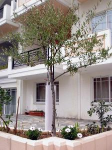 a tree in front of a white building at Doreen Suites in Kalamaki