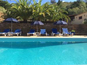 a group of chairs and umbrellas next to a swimming pool at Terra das Delicias in Morenos