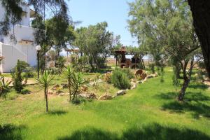 a grassy yard with a cow grazing in the grass at Zefyros Apartments and House in Kissamos