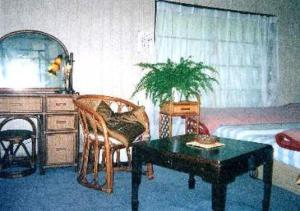 Posezení v ubytování Onsen Inn 36So