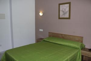 a bedroom with a green bed with a picture on the wall at Hotel San Carlo in Coirón +28 photos