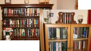 The library in Az apartmant
