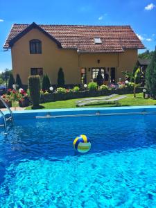 uma bola de voleibol na água em frente a uma casa em Casa De Vacanta Silvia Varmaga em Vărmaga
