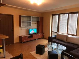 a living room with a couch and a tv at Apartment Elena in Sandanski