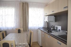 Kuchyňa alebo kuchynka v ubytovaní Fortuna Apartmanházak
