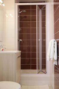 a bathroom with a shower with a toilet and a sink at Hôtel du Cheval Rouge in Versailles