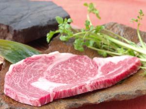a piece of meat sitting on top of a rock at Shibu Tatunokan in Chino