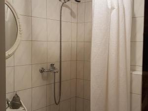a shower with a white shower curtain next to a sink at Basel Charme Apartments in Basel +28 photos