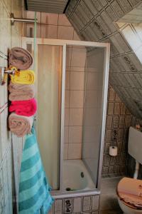 a bathroom with a shower with towels and a toilet at Zur Schatztruhe in Nordstrand