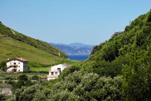 a group of houses on a hill next to the water at Hotel Flysch in Zumaia