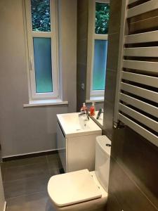 オルシュティンにあるRED & GREYのバスルーム(トイレ、洗面台付)、窓2つが備わります。