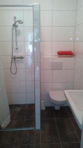 a bathroom with a shower and a toilet and a sink at Maxl in Maltschach