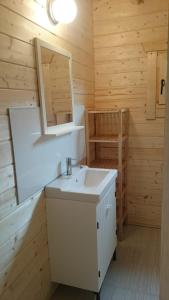 a bathroom with a sink and a mirror at Domki Przy Orzechu in Lubin +24 photos