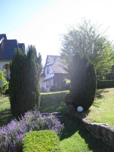 a garden with bushes and flowers in front of a house at Romantikmühle Heartlandranch in Krummenau