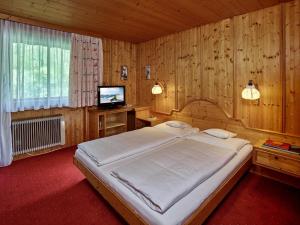 - une chambre avec un grand lit et une télévision dans l'établissement Hotel Monika, à Gaschurn