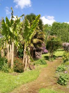 un jardin avec des palmiers et un chemin de terre dans l'établissement Les Rhodos, à Noirpalu