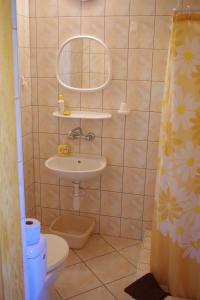 ヤストシェンビャ・グラにあるPokoje Goscinne Anna Mariaのバスルーム(洗面台、トイレ、鏡付)
