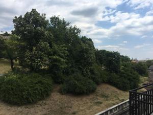 Príroda v okolí apartmánu
