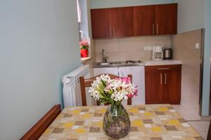 Küche/Küchenzeile in der Unterkunft Guest House Katarina