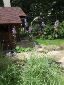 a garden with purple flowers and a gazebo at Art d'ECO in Skole