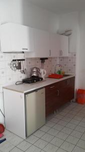 Kuchyň nebo kuchyňský kout v ubytování Delphin Apart Hotel