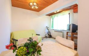 TV a/nebo společenská místnost v ubytování Apartments Zdravko