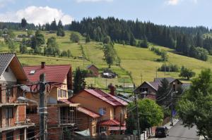 a small town with a green hill in the background at Casa Emilia in Vatra Dornei