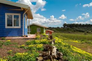 una casa azul y verde en un campo con flores en Mandorleo en Belpasso