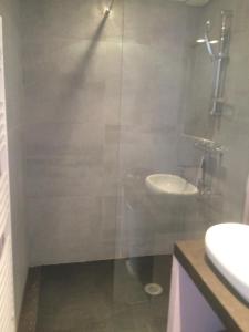 uma casa de banho com uma cabina de duche em vidro e um lavatório. em Au bon logis Luberon 50m2 em Cheval-Blanc