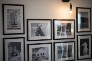 Fotografia z galérie ubytovania Franko & Ana apartments v destinácii Krk